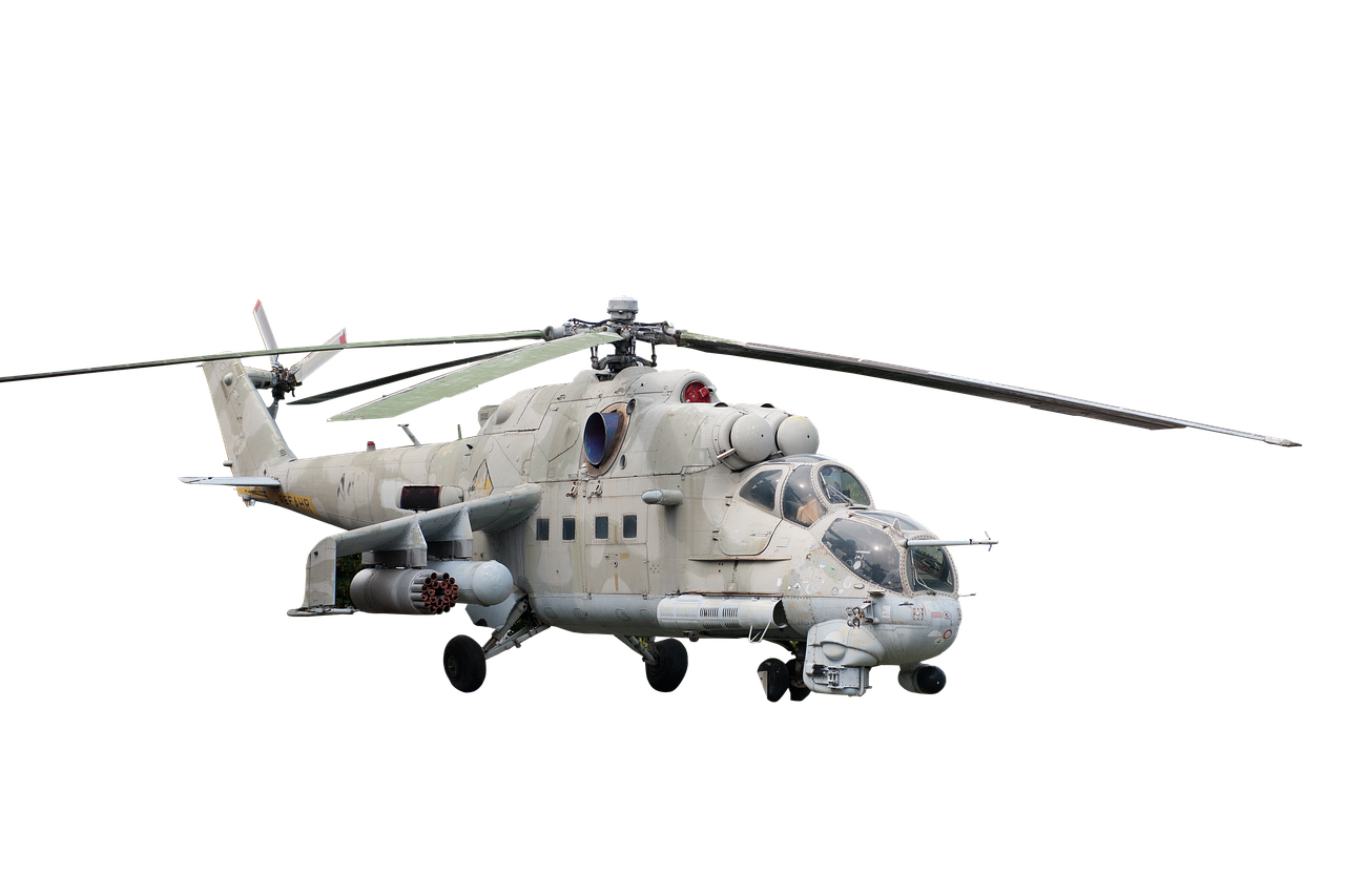 进口花卉购买平台