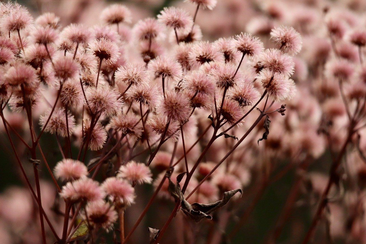 简信实名账号:详情下载教程宜春人保app