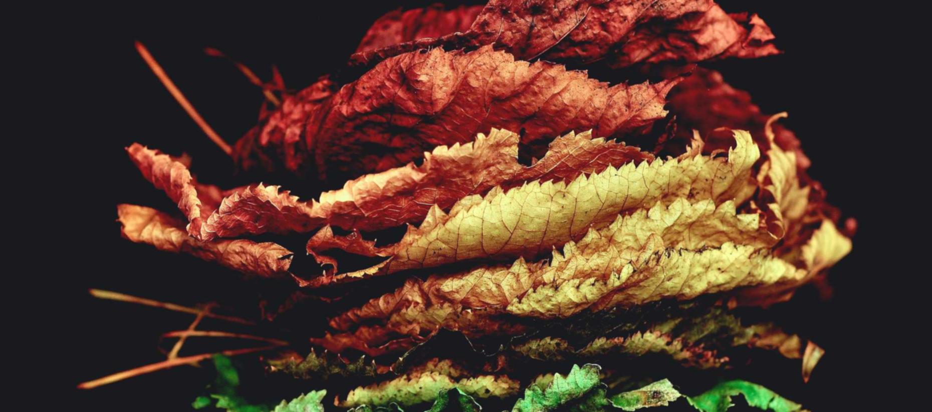 如何利用技术升级防止技术支持攻击？